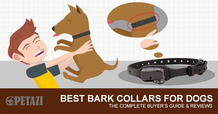 Best Bark Collar 2017 – The Complete Buyer’s Guide & Reviews
