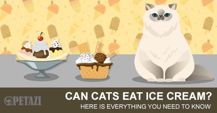 Can cats eat ice cream