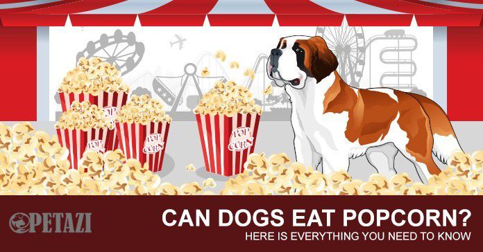 can dogs eat popcorn - can dogs have popcorn