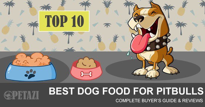 best dog food for pitbulls - ultimate buyer's guide & reviews