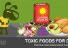 what foods are toxic to dogs - toxic foods for dogs