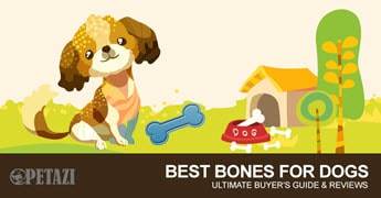 best bones for dogs 2017 - Ultimate buyer's guide & review