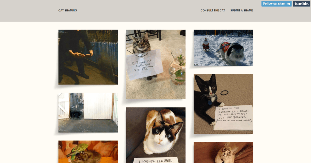 top-cat-blogs-29