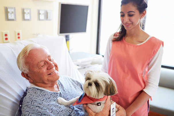 hospital-pets-allowed-animal-therapy-zacharys-paws-for-healing