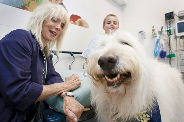 hospital-pets-allowed-animal-therapy-zacharys-paws-for-healing